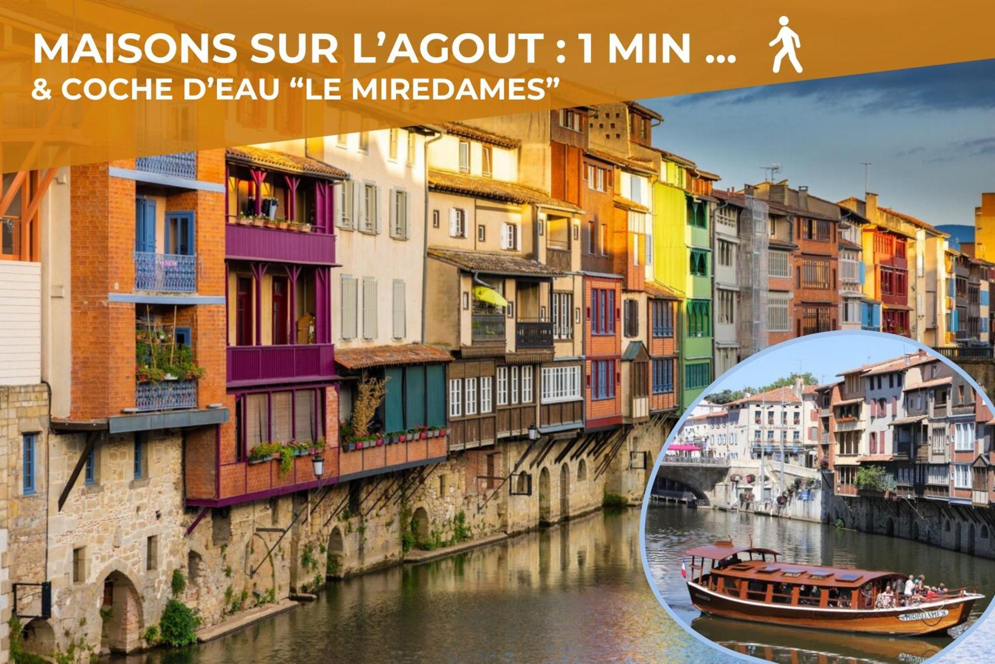 Le Canope - T3 Duplex, 2 Salles D'Eau, Hypercentre 卡斯特尔 外观 照片